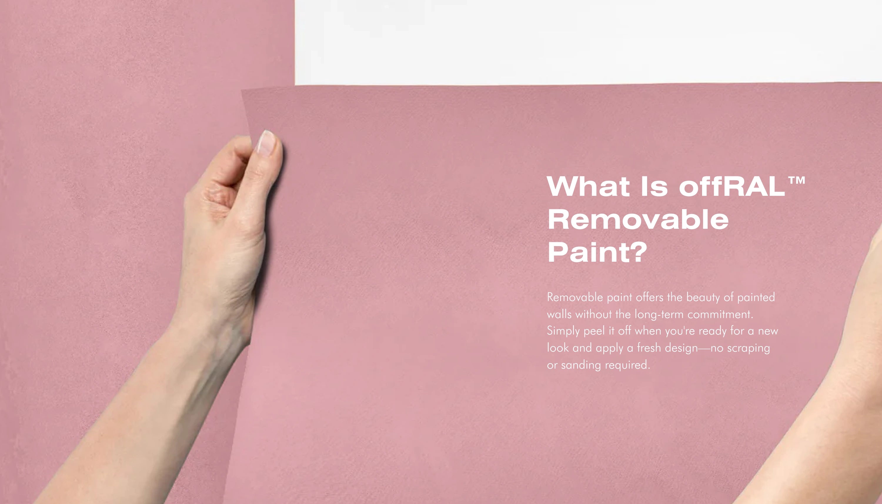 Abzieh- und Klebefarbe – RAL 3015 Hellrosa – vorübergehend mieterfreundliche, tapetenähnliche Farbe – offRAL™