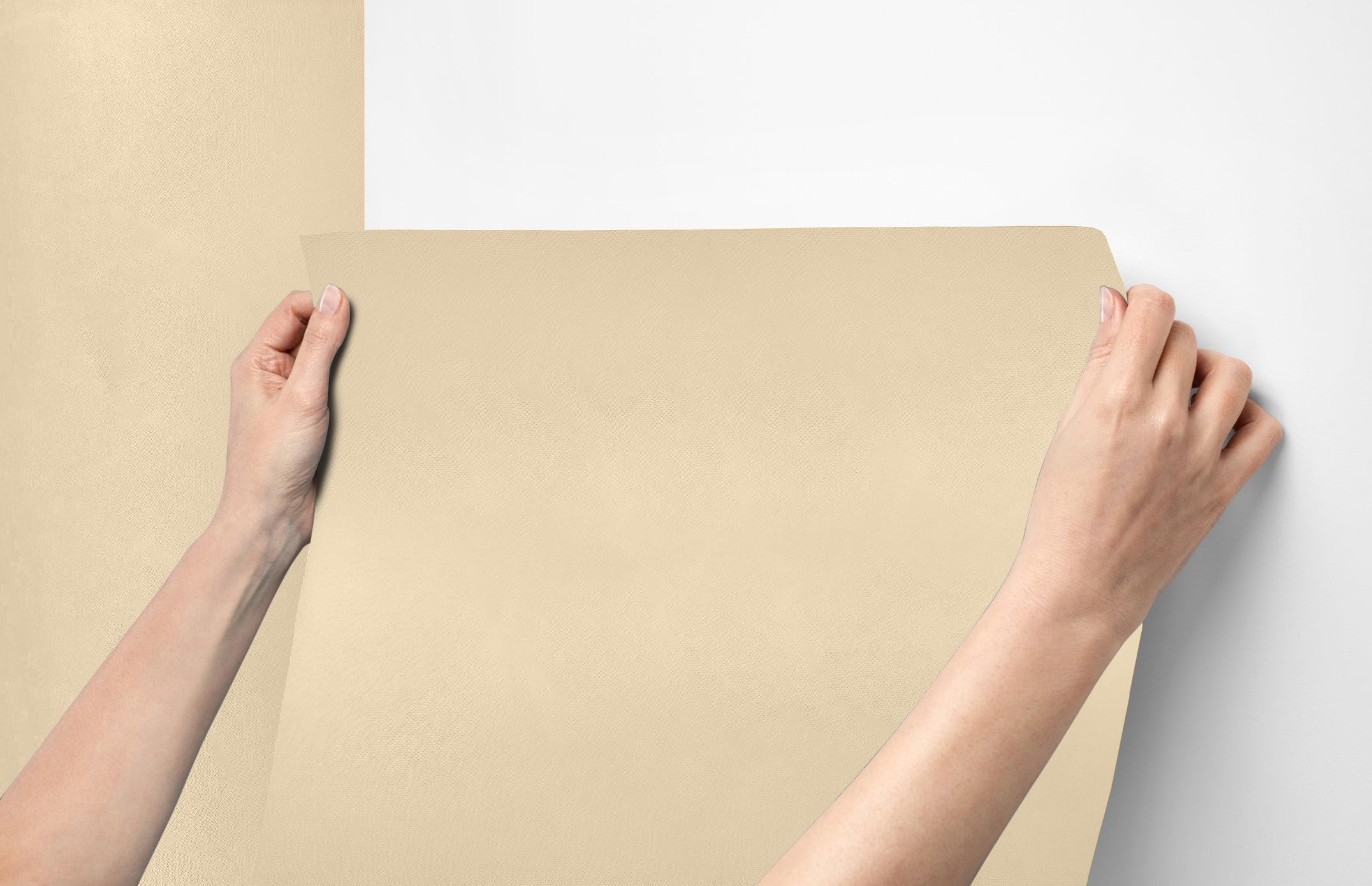 Peel & Stick Removable Re-usable Paint - Color RAL 1015 Light Ivory - offRAL™ - RALRAW LLC, USA