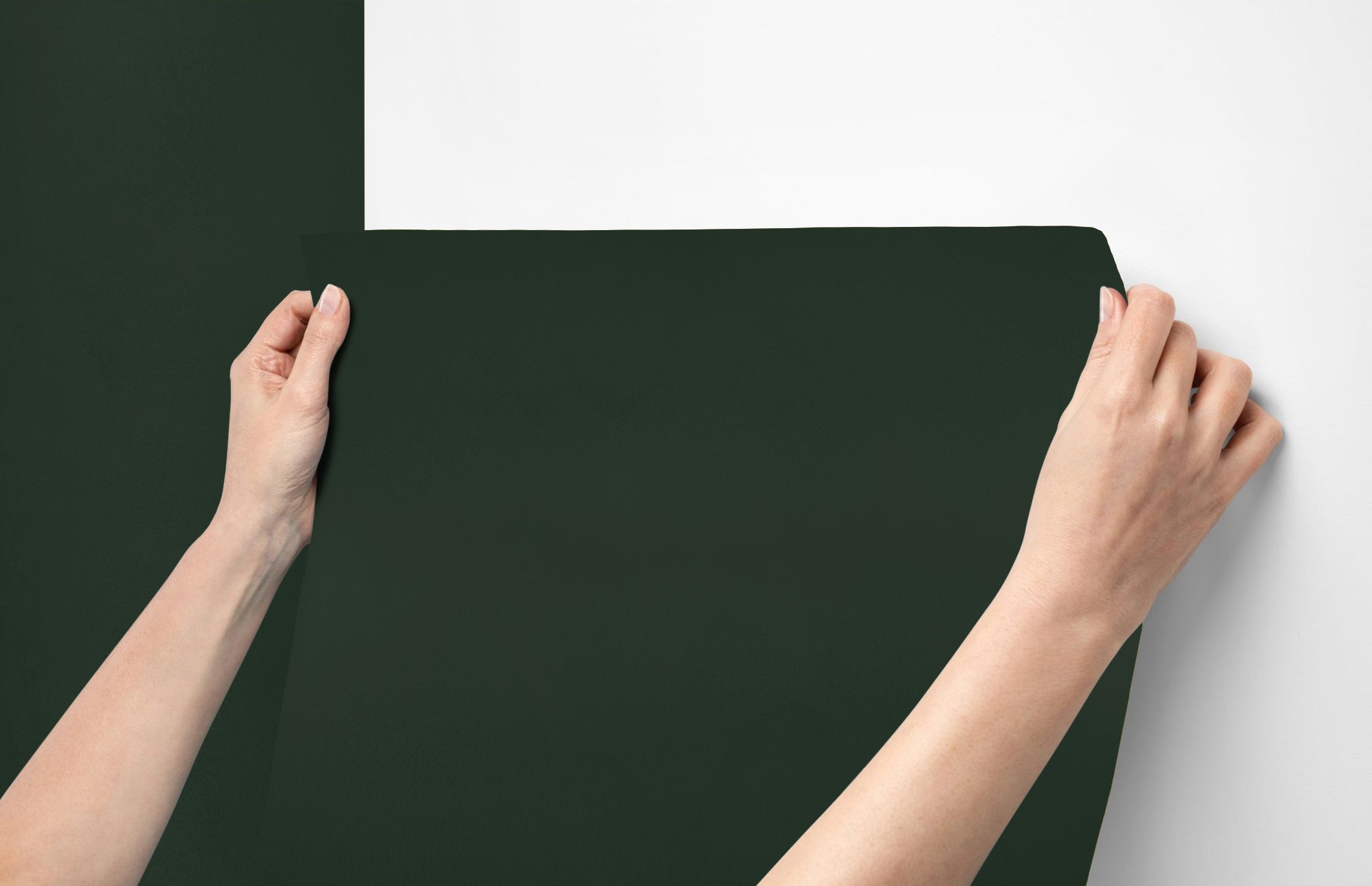 Peel & Stick Removable Re-usable Paint - Color RAL 6009 Fir Green - offRAL™ - RALRAW LLC, USA