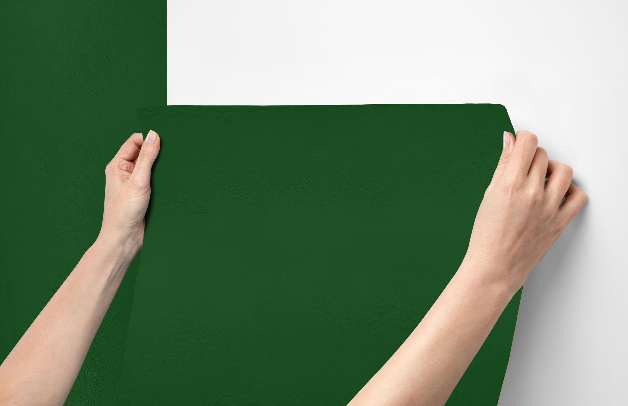 Peel & Stick Removable Re-usable Paint - Color RAL 6035 Pearl Green - offRAL™ - RALRAW LLC, USA
