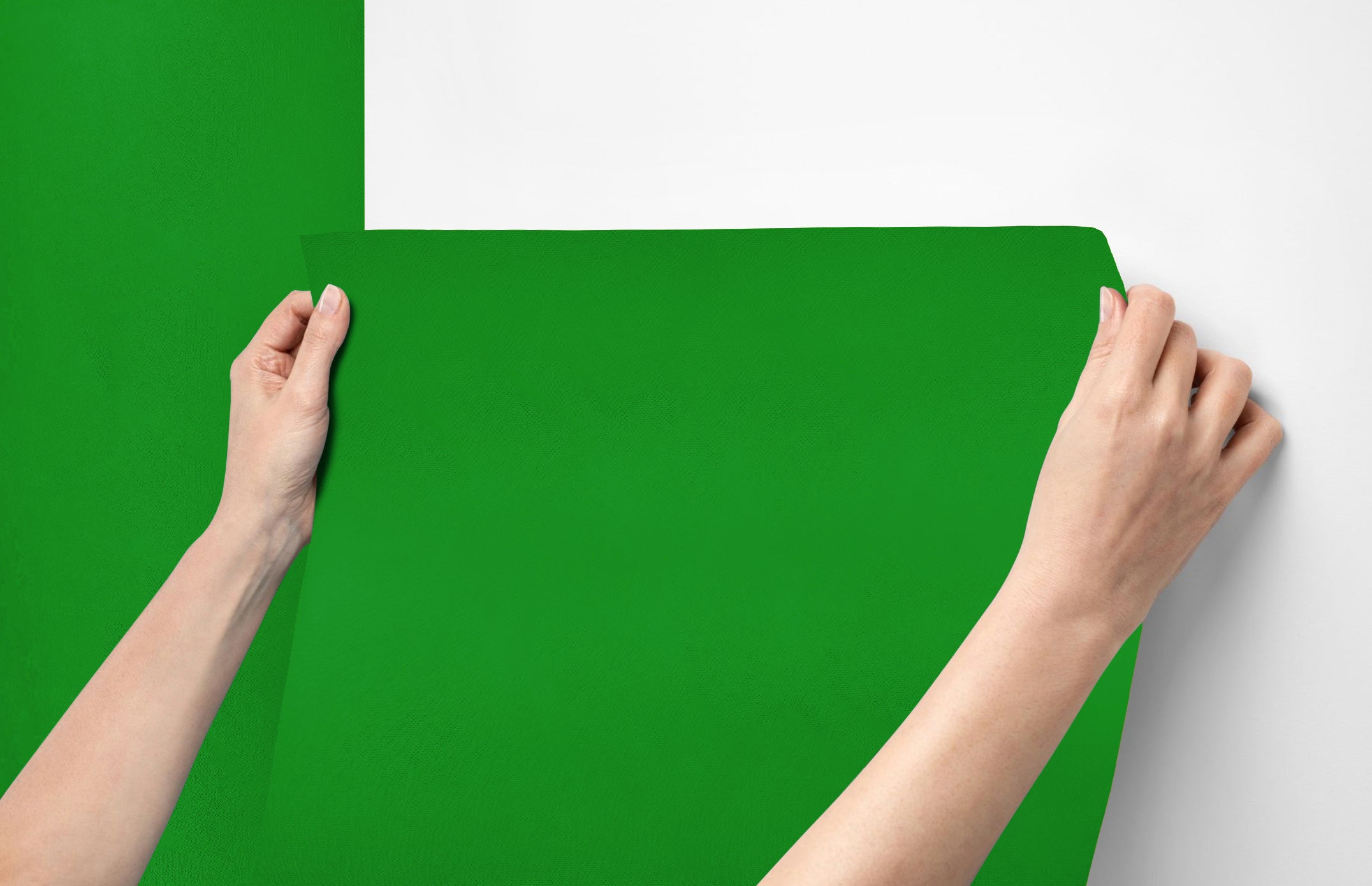 Peel & Stick Removable Re-usable Paint - Color RAL 6037 Pure Green - offRAL™ - RALRAW LLC, USA