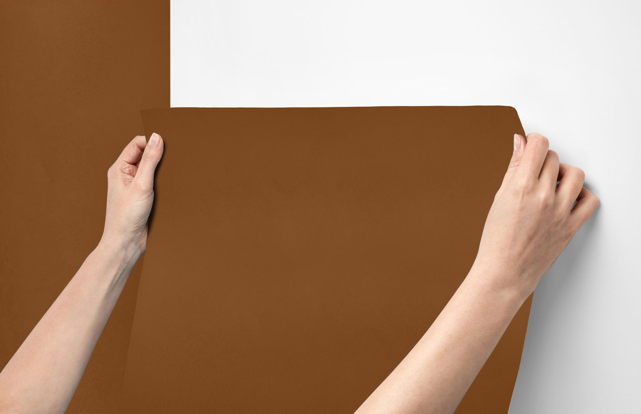 Peel & Stick Removable Re-usable Paint - Color RAL 8003 Clay Brown - offRAL™ - RALRAW LLC, USA