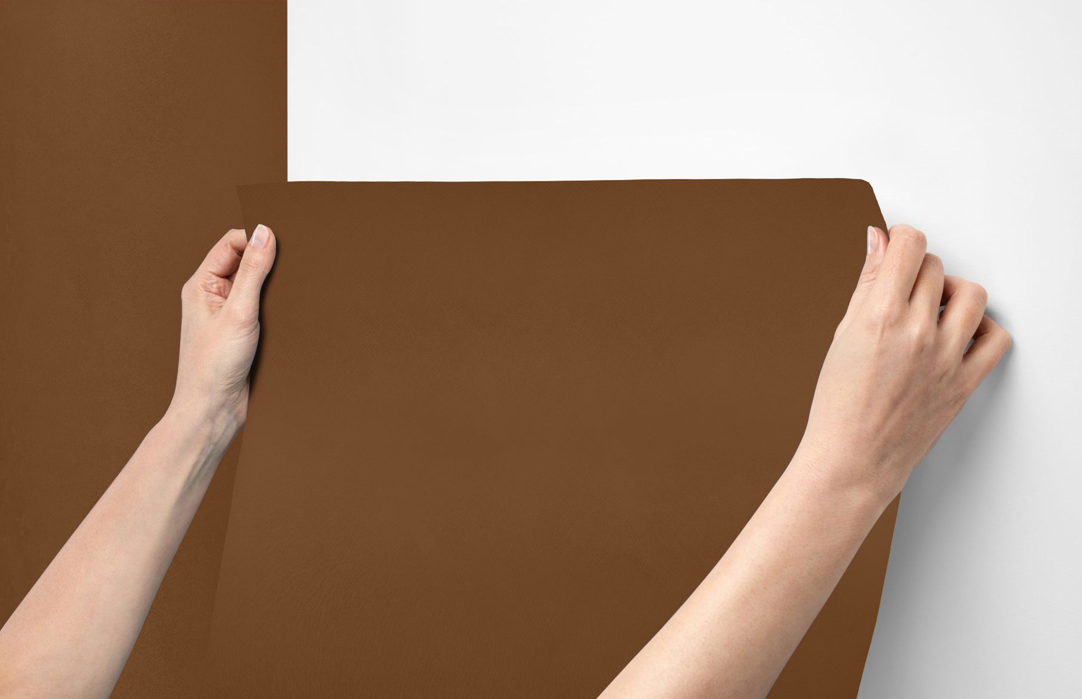 Peel & Stick Removable Re-usable Paint - Color RAL 8007 Fawn Brown - offRAL™ - RALRAW LLC, USA