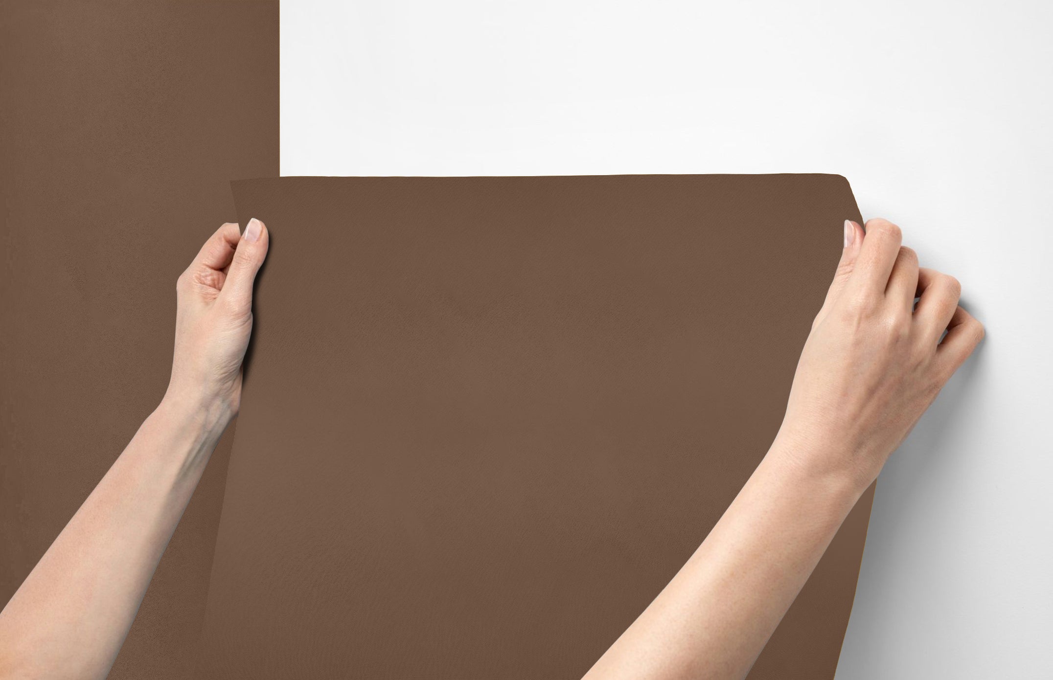 Peel & Stick Removable Re-usable Paint - Color RAL 8025 Pale Brown - offRAL™ - RALRAW LLC, USA