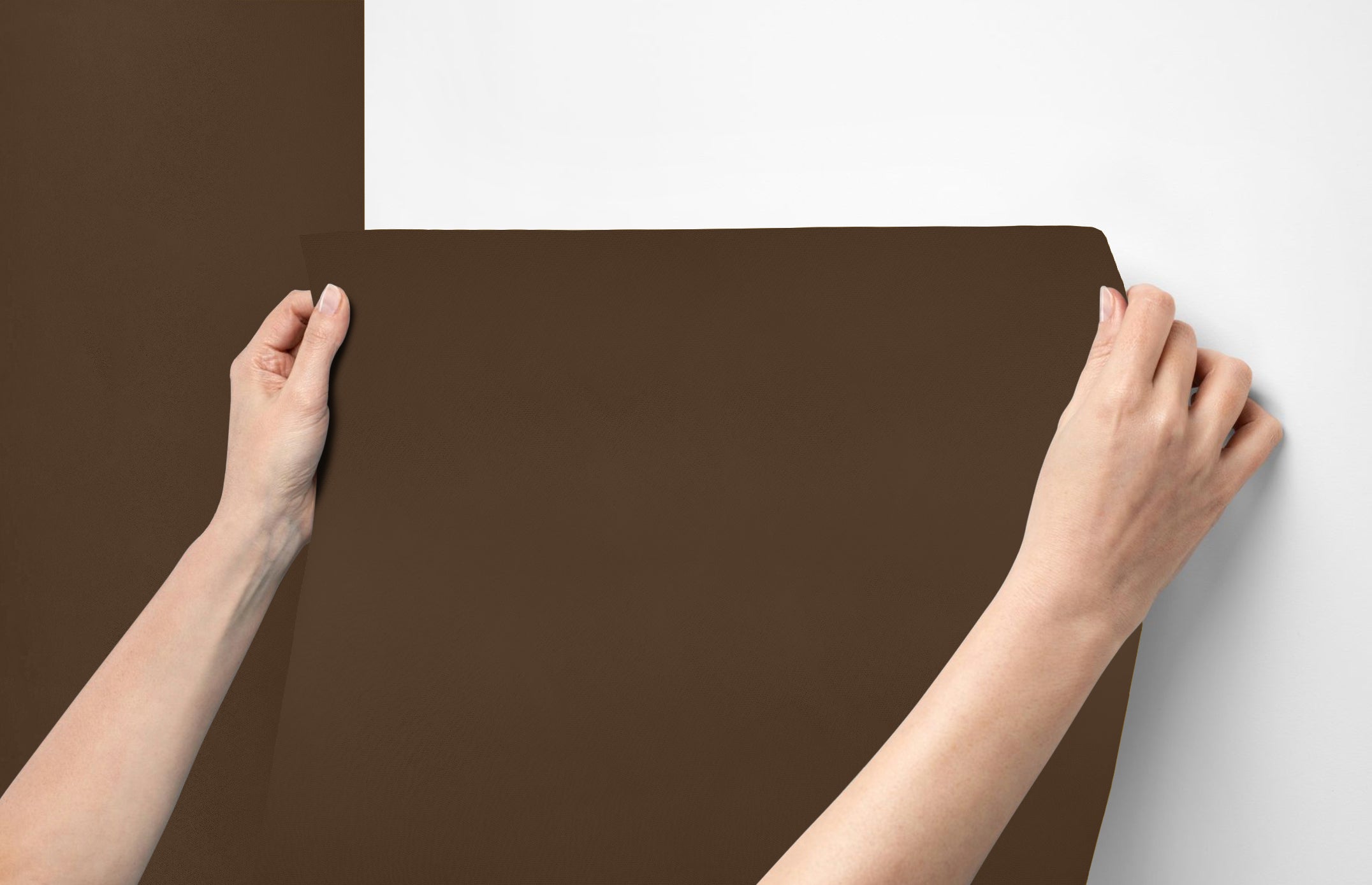 Peel & Stick Removable Re-usable Paint - Color RAL 8028 Terra Brown - offRAL™ - RALRAW LLC, USA