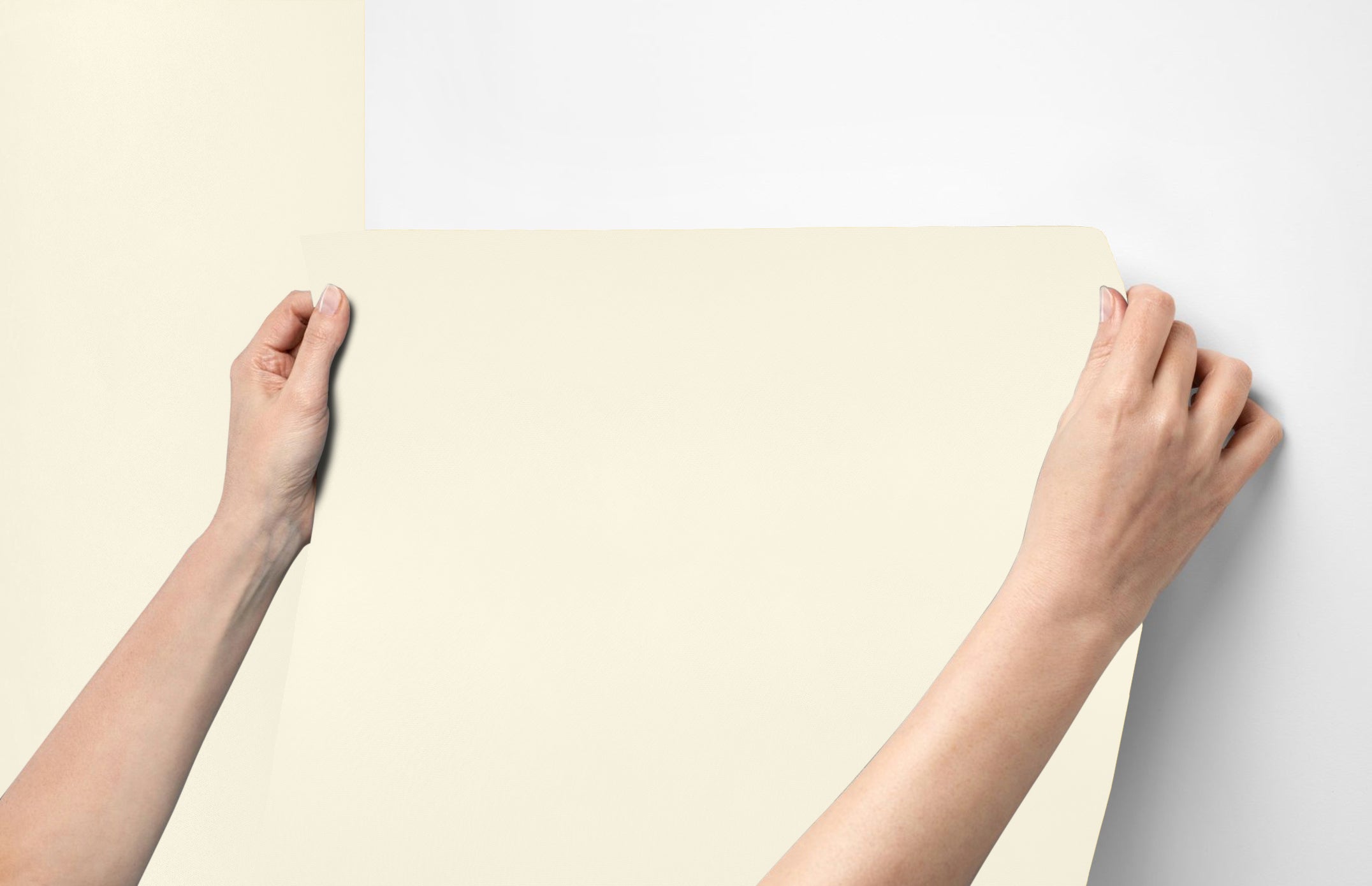 Peel & Stick Removable Re-usable Paint - Color RAL 9012 Cleanroom White - offRAL™ - RALRAW LLC, USA