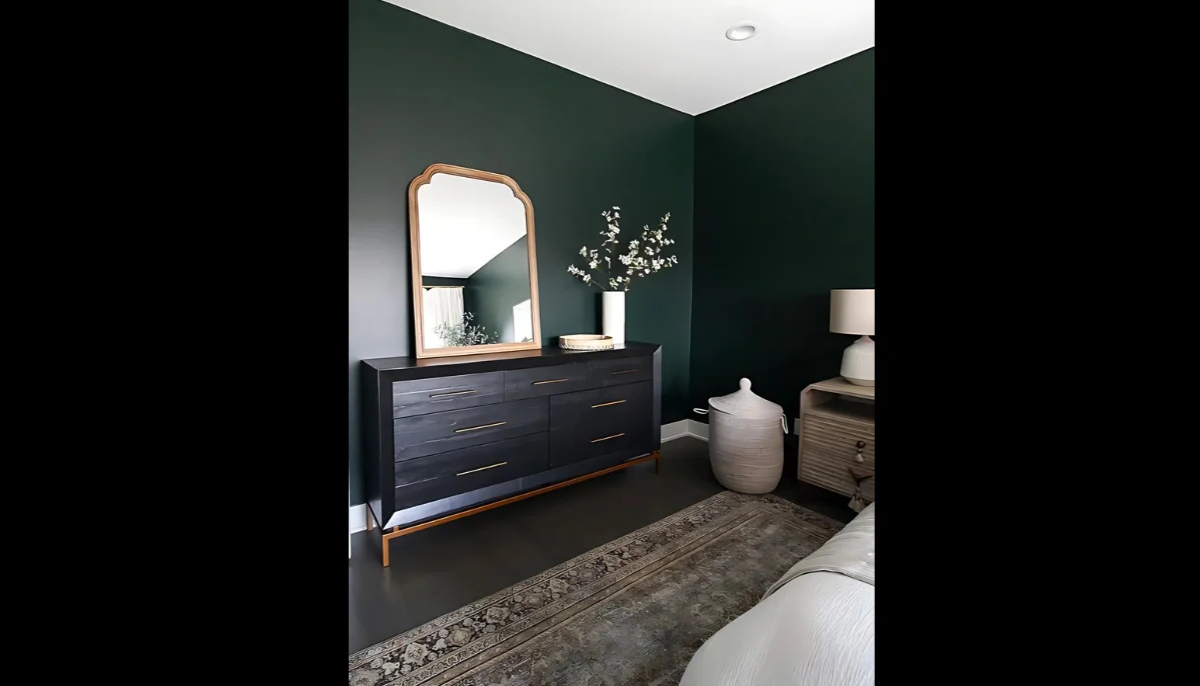 Tragbare Farbe - RAL 6012 Schwarzgrün - 1. Farbe in Blättern, bereit zur Wiederverwendung auf jeder glatten Oberfläche - offRAL™