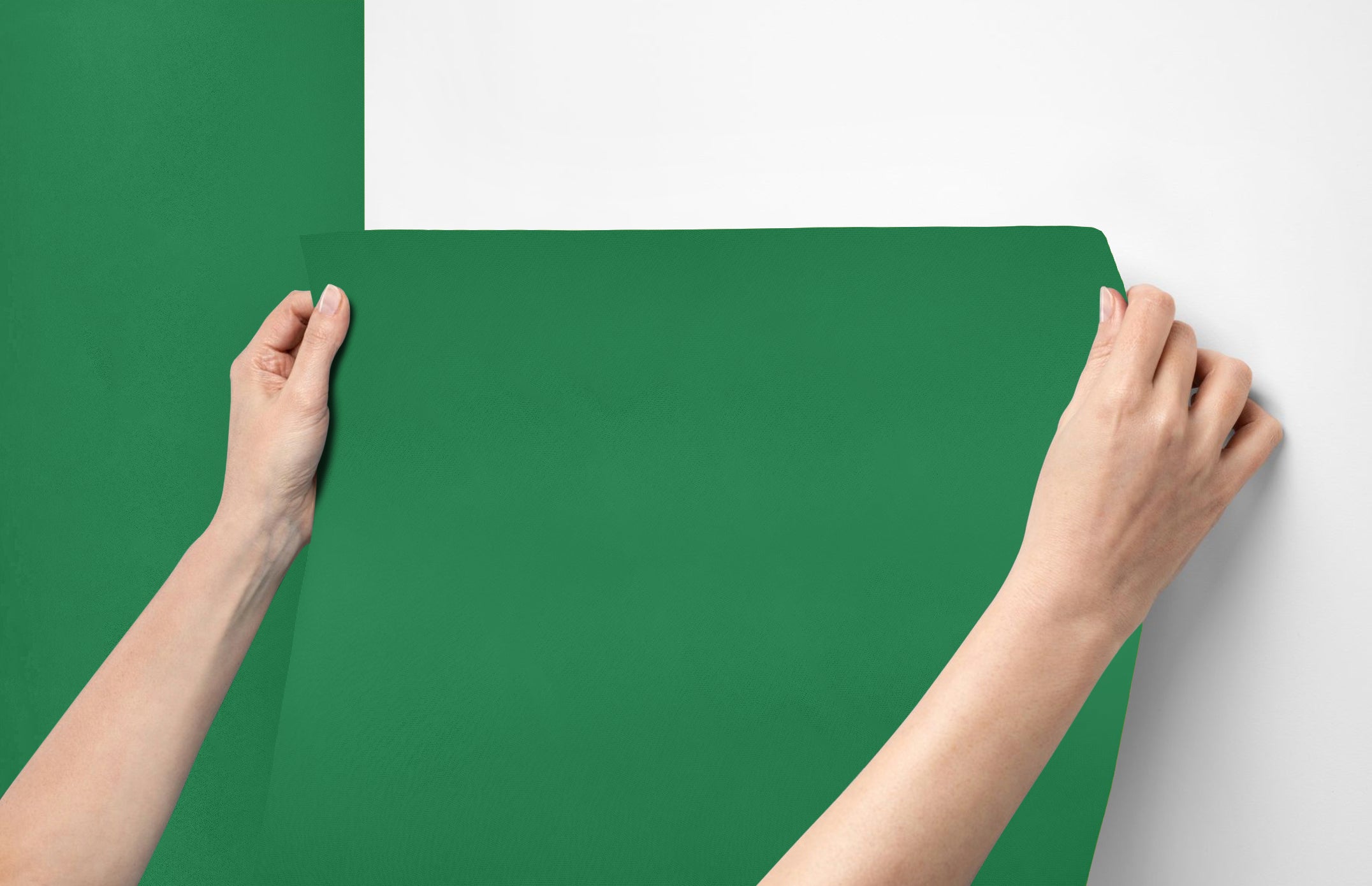 Peel & Stick Removable Re-usable Paint - Color RAL 6032 Signal Green - offRAL™ - RALRAW LLC, USA